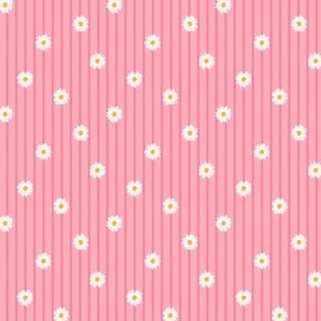 stripes daisies on lace pink fcadbc and fd889b