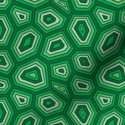 turtle_pattern2