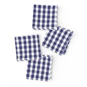 USA Flag Blue and White Gingham Checked