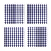 USA Flag Blue and White Gingham Checked