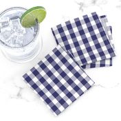 USA Flag Blue and White Gingham Checked