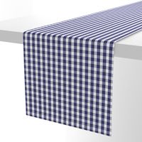 USA Flag Blue and White Gingham Checked