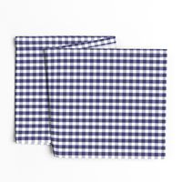 USA Flag Blue and White Gingham Checked