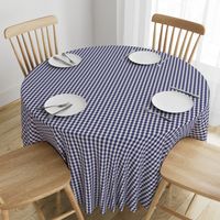 USA Flag Blue and White Gingham Checked