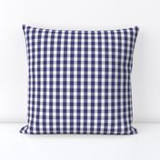 USA Flag Blue and White Gingham Checked