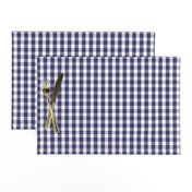 USA Flag Blue and White Gingham Checked