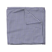 USA Flag Blue and White Gingham Checked