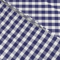 USA Flag Blue and White Gingham Checked