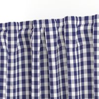 USA Flag Blue and White Gingham Checked