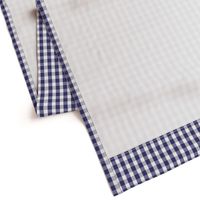 USA Flag Blue and White Gingham Checked