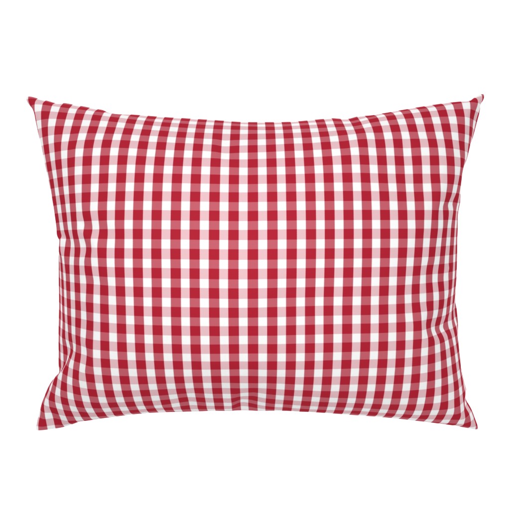 USA Flag Red and White Gingham Checked