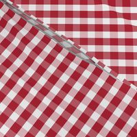 USA Flag Red and White Gingham Checked