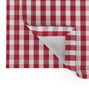 USA Flag Red and White Gingham Checked