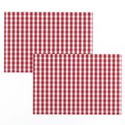 USA Flag Red and White Gingham Checked