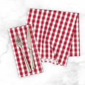 USA Flag Red and White Gingham Checked