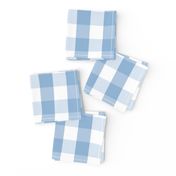 Airy Blue Gingham Check