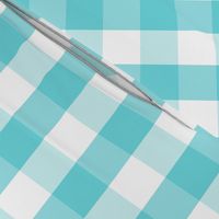 Pale Aqua Blue Gingham Check Pattern