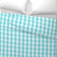 Pale Aqua Blue Gingham Check Pattern