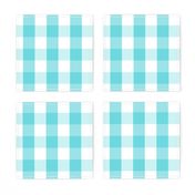 Pale Aqua Blue Gingham Check Pattern