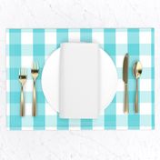 Pale Aqua Blue Gingham Check Pattern