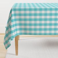 Pale Aqua Blue Gingham Check Pattern