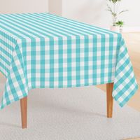 Pale Aqua Blue Gingham Check Pattern