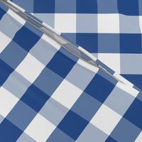 Delphinium Blue Mini Gingham Check Plaid