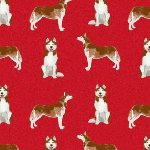 husky red coat coordinate pet quilt a dog fabric quilts 