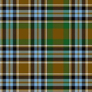 Massey  / Massie tartan from 1819/ Wilson's #171, 6"