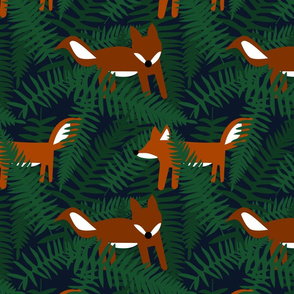 Foxes and Ferns