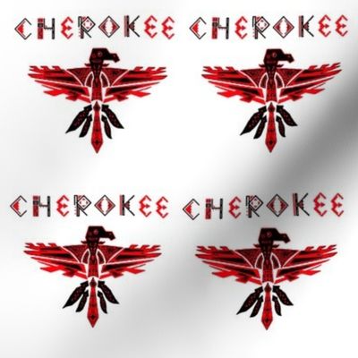 Native American Cherokee Phoenix