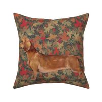 Dachshund for Pillow