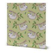 Sloth Sloths on Tree Branch with Leaves on Light Olive Green