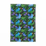 Jungle Birds – Blue