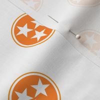 Tri-Star Fabric