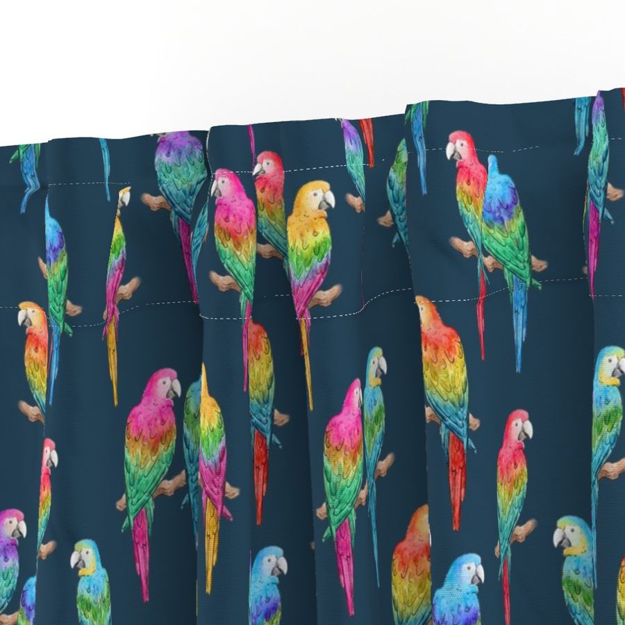 Rainbow Macaws on navy