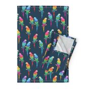 Rainbow Macaws on navy