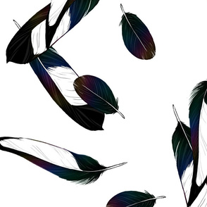Magpie Feathers