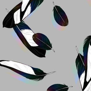 Magpie Feathers - Color