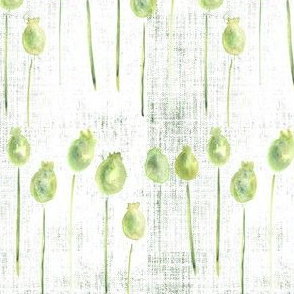 Watercolor Small Poppy Pods  Distress Sage Forrest Green White Leaf Leaves Texture  _ Miss Chiff Designs 