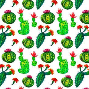 Flowering colorful cactus seamless pattern on white background watercolor