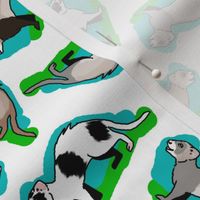 50s Style Assorted Ferrets on Blue and Green