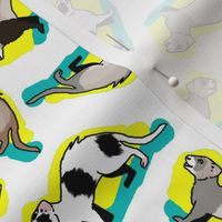 50s Style Assorted Ferrets on Blue and Yellow