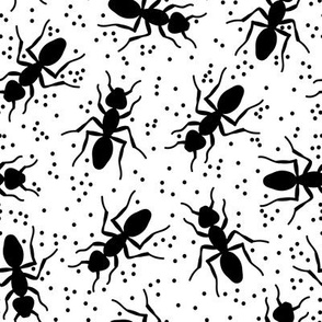 Confetti Ants in Black + White