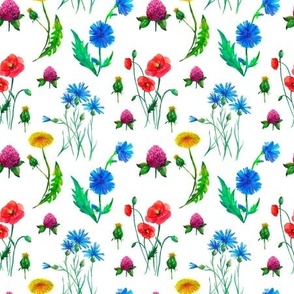 Wildflowers watercolor semless pattern on white