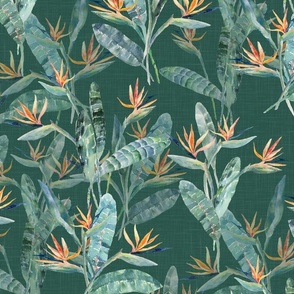 Bird of Paradise on Dark Green Half Size 300