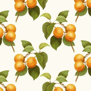 apricots