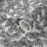 monstera and palm leaves - b/w