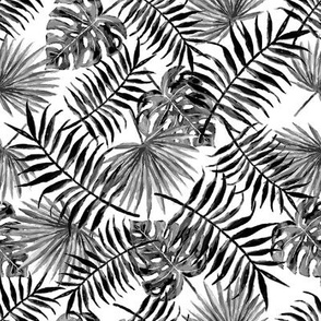 monstera and palm leaves - b/w