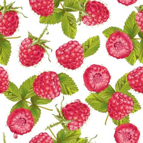 Sweet raspberry 
